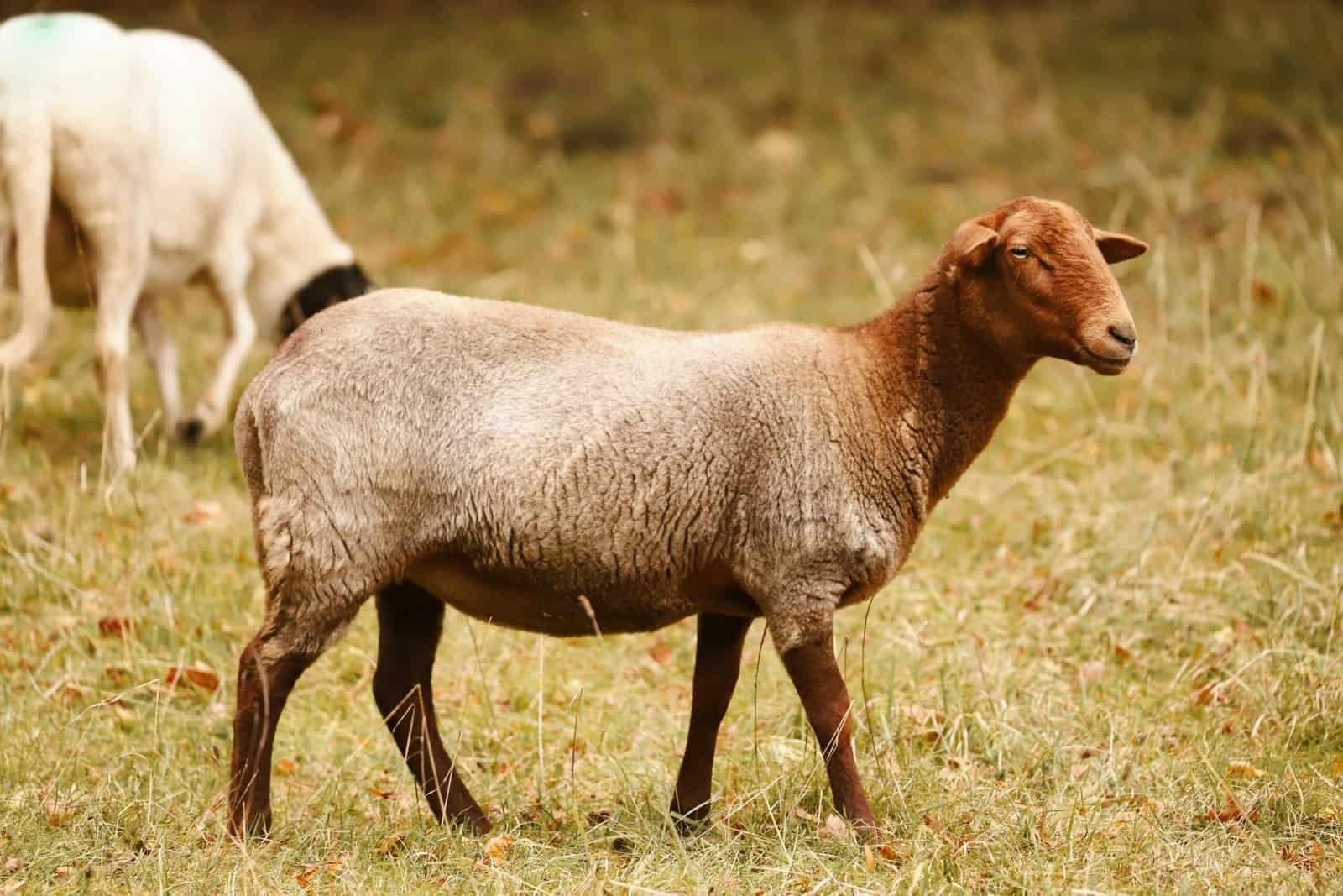 What Are The Best Practices For Managing Crypto Investment Risks?