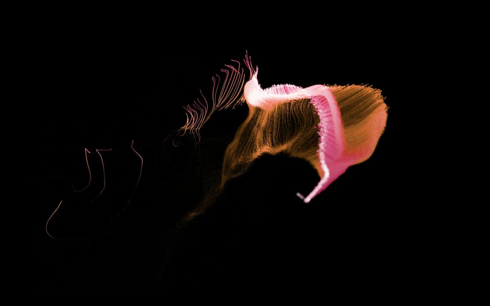 What Are The Top Metaverse Coins To Invest In? What Are The Top Metaverse Coins To Invest In?