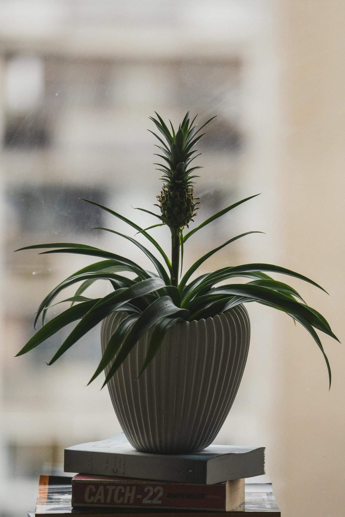 How To Use A Hardware Wallet For Crypto Storage?