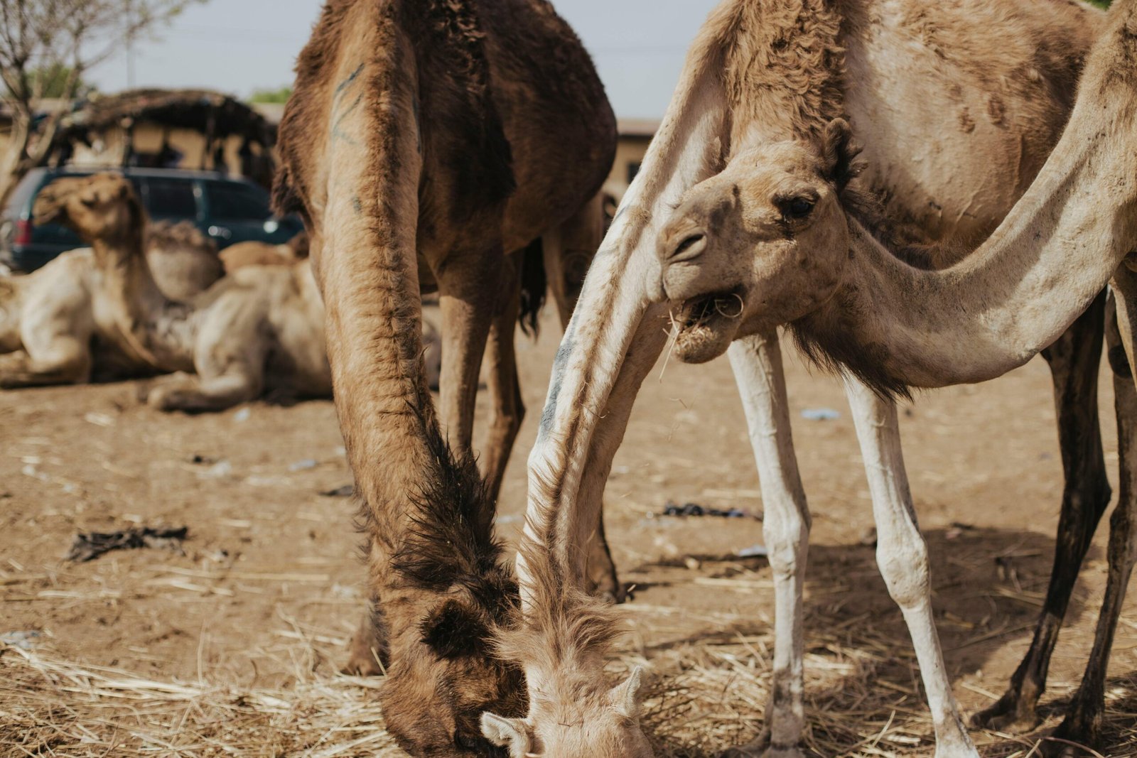 How To Use Technical Analysis In Crypto Trading?