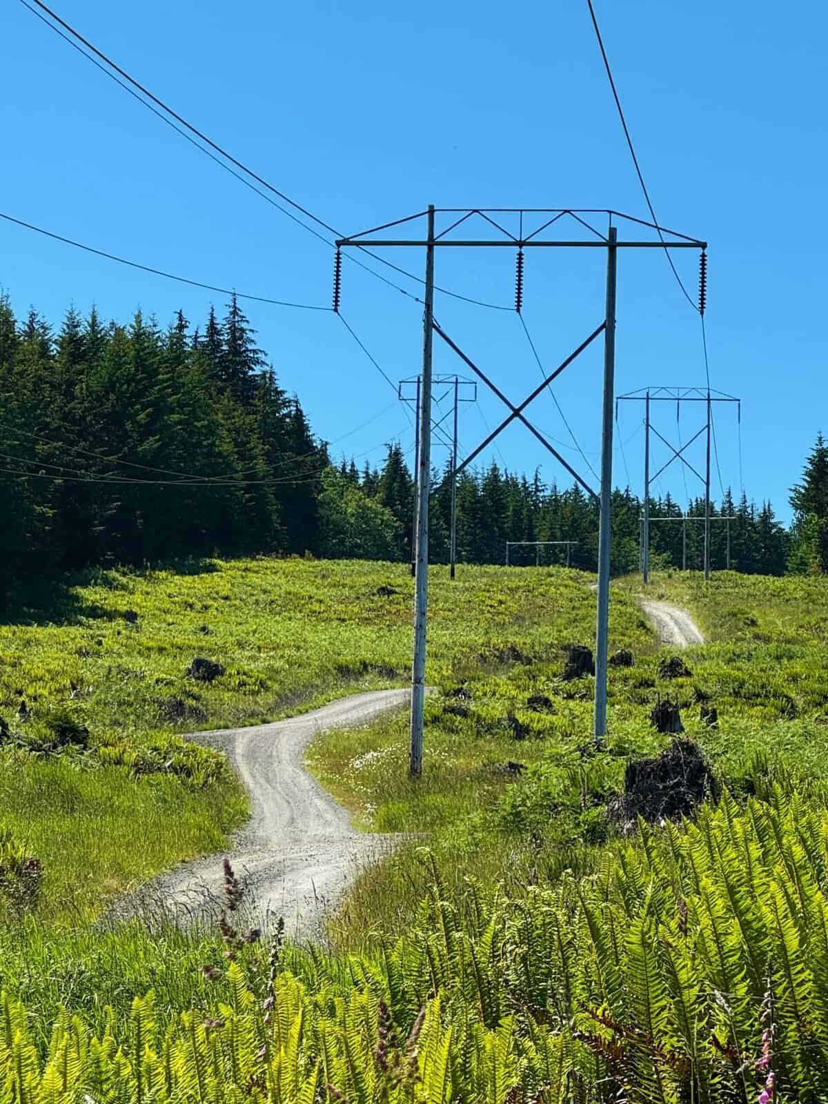 What Are The Top Utility Tokens To Watch?