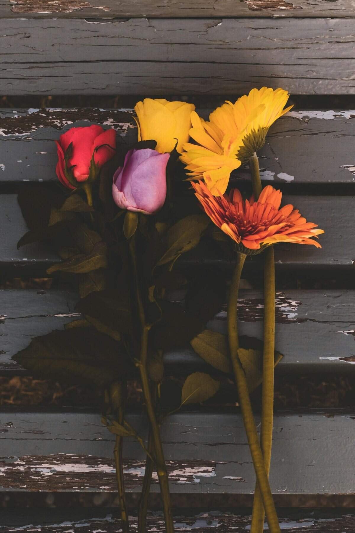 What Is A Multichain Wallet?