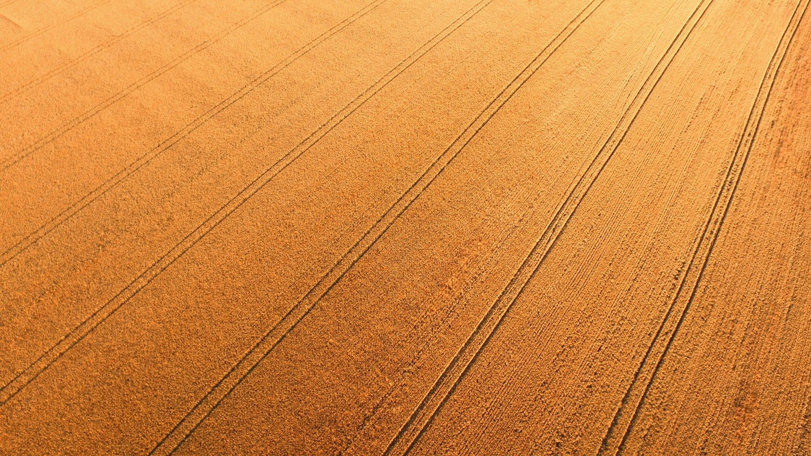 What Is Yield Farming In Crypto?