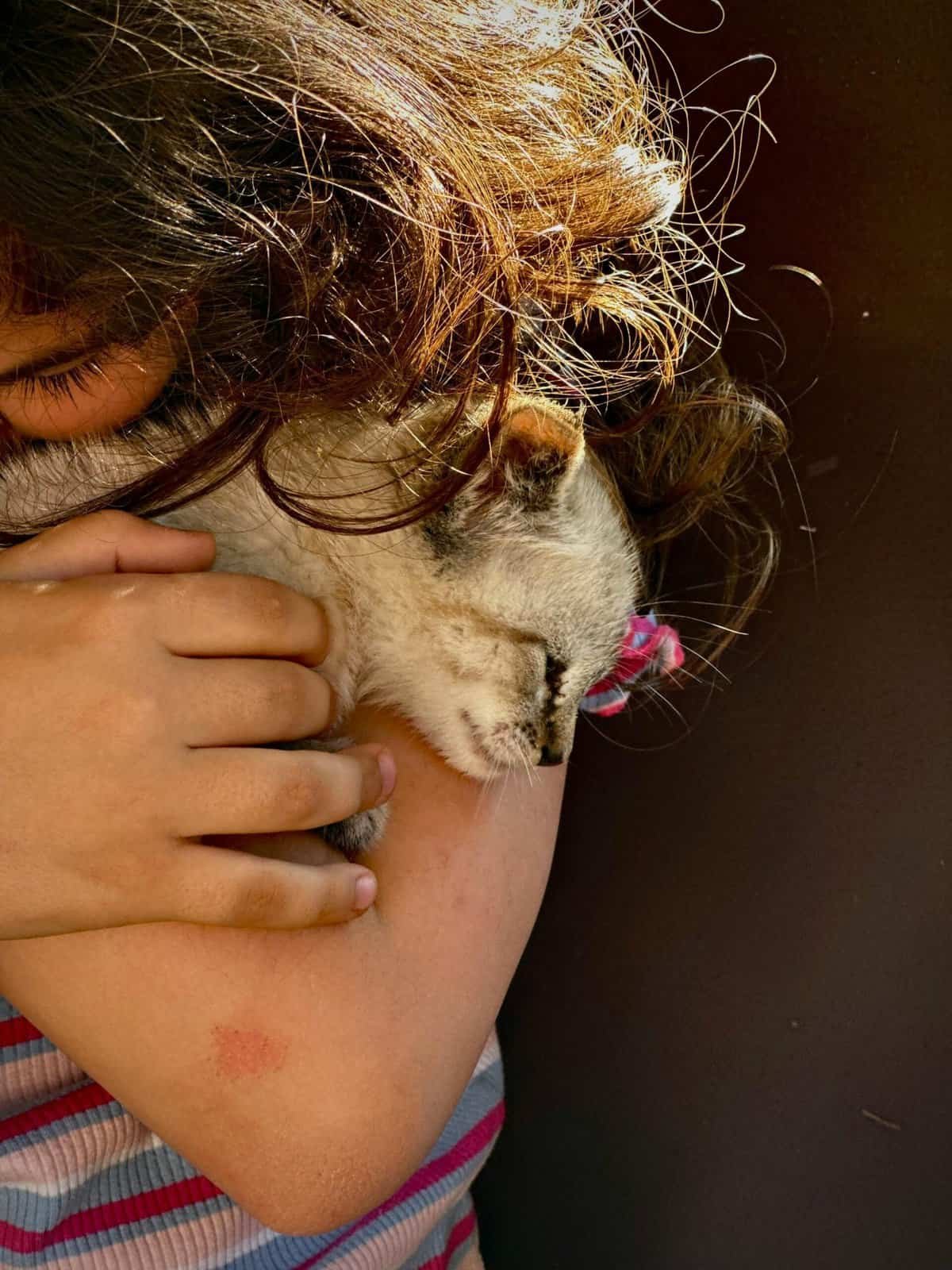 Can I Lose My Cryptocurrency? Can I Lose My Cryptocurrency?