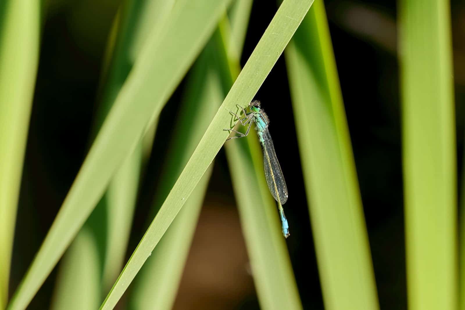 How To Avoid Losing Your Cryptocurrency?