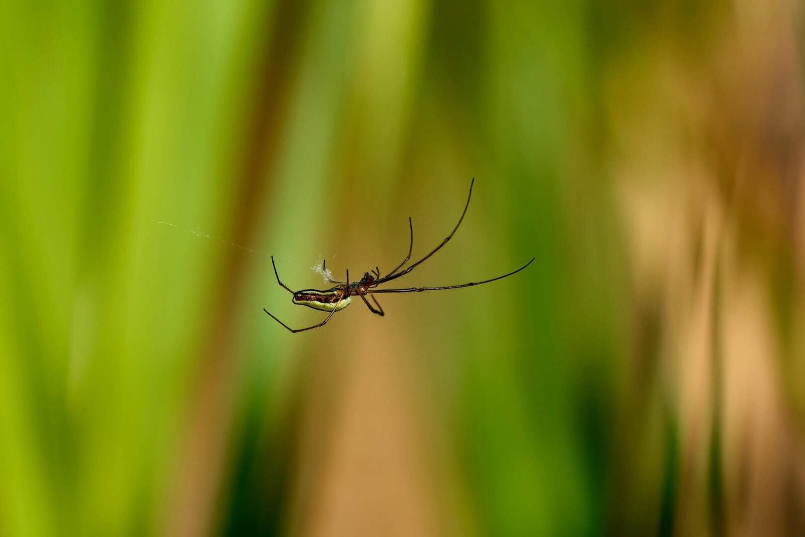 How To Avoid Losing Your Cryptocurrency?