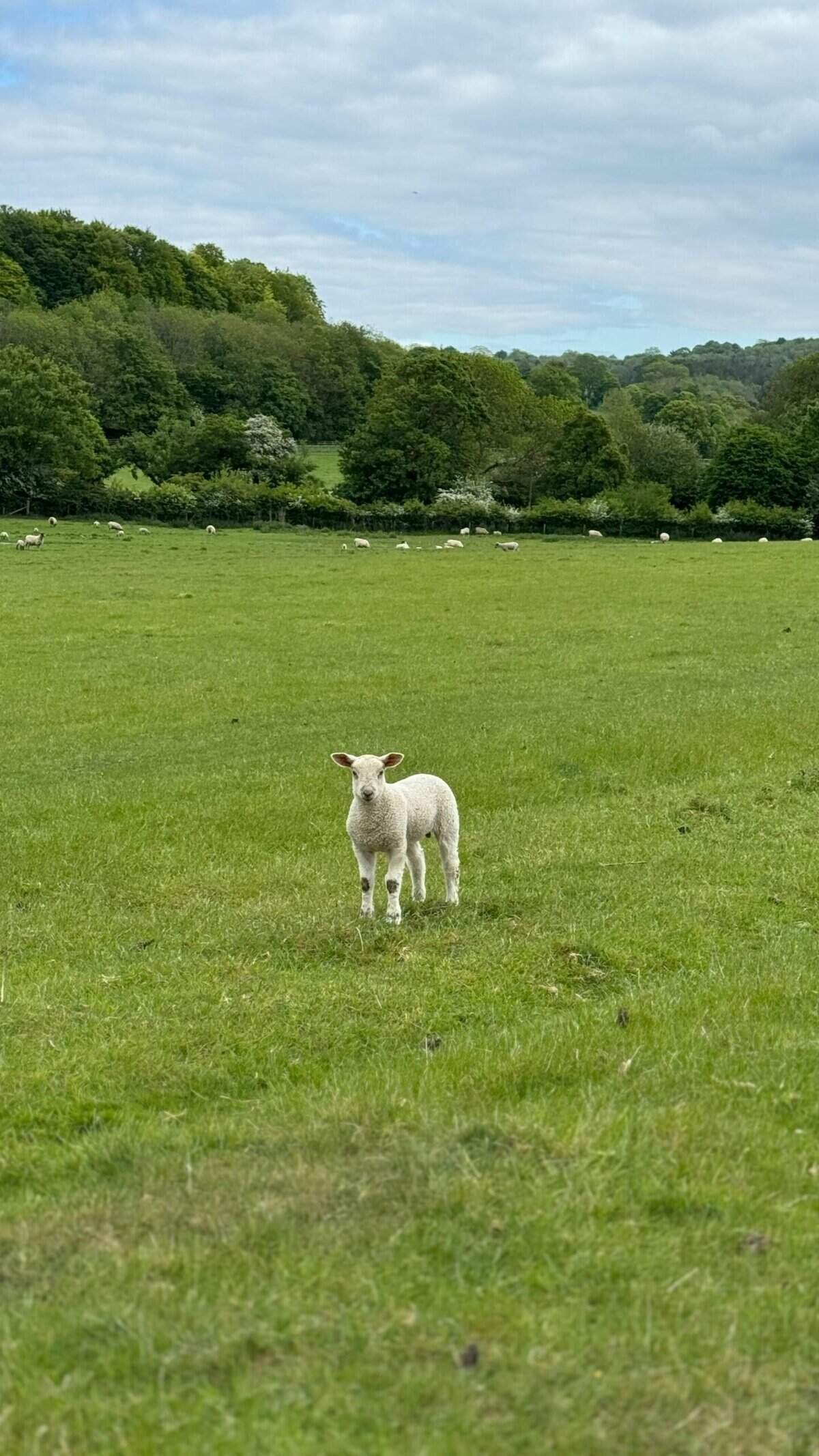 What Are The Best DeFi Projects In 2025? What Are The Best DeFi Projects In 2025?