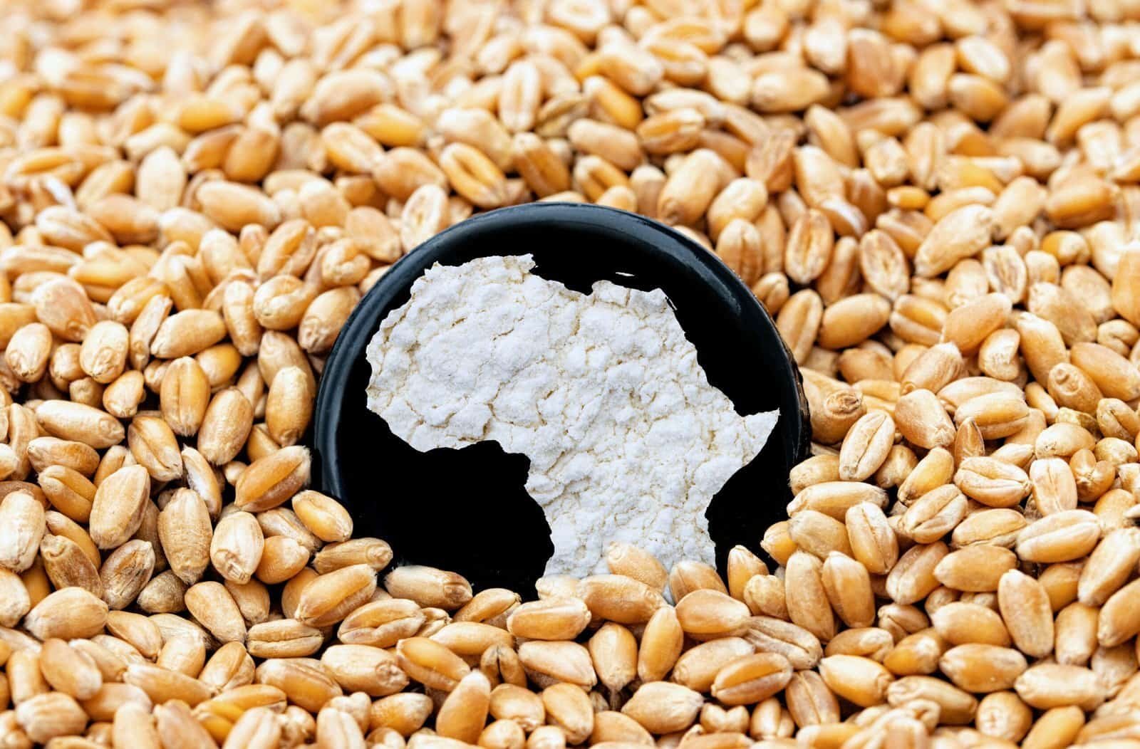 what is yield farming in crypto 1 scaled