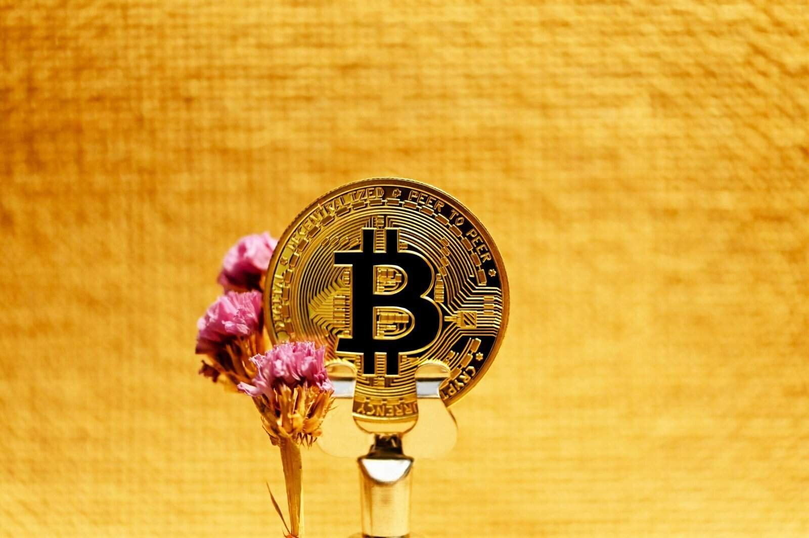 How To Use Crypto Derivatives To Hedge Risks. How To Use Crypto Derivatives To Hedge Risks.