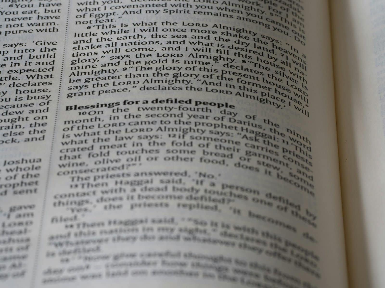 Crypto Insurance Protocols Crypto Insurance Protocols