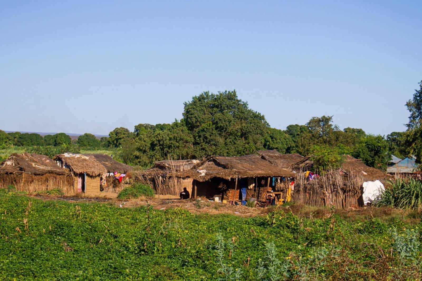 How Do I Report Crypto On My Taxes?