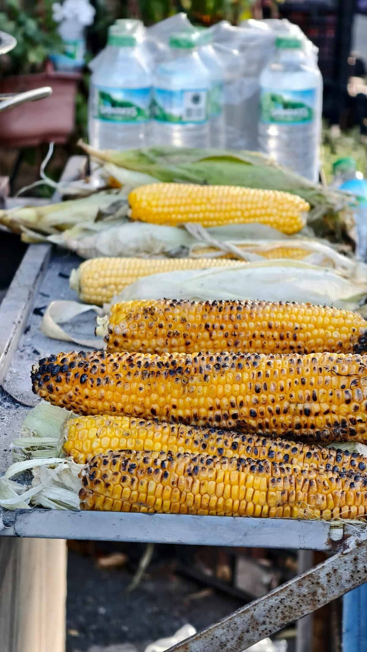 Exchange.Art – A Fine Art NFT Marketplace On Solana Expanding Into Multi-chain.