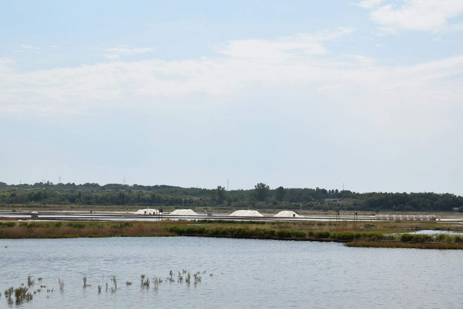 Tensor – A Fast, Pro-trader-focused Marketplace On Solana With Multi-chain Growth. Tensor – A Fast, Pro-trader-focused Marketplace On Solana With Multi-chain Growth.