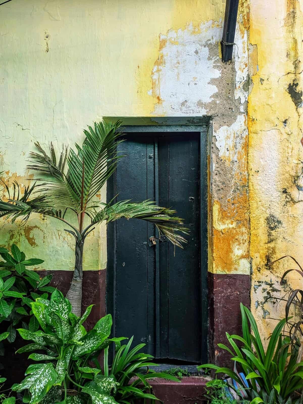 What Are The Environmental Trends In Crypto Mining In 2025?