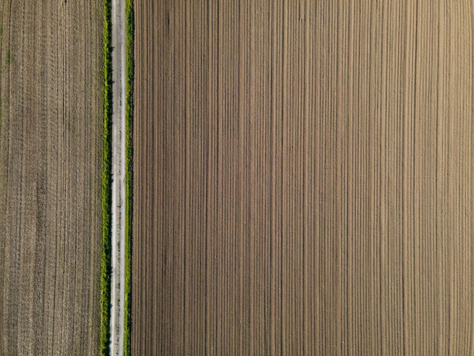 What Are The Most Popular Yield Farming Opportunities In 2025?