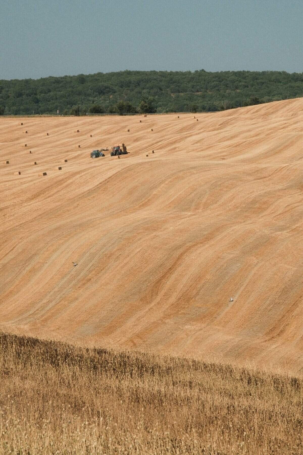What Are The Most Popular Yield Farming Opportunities In 2025?