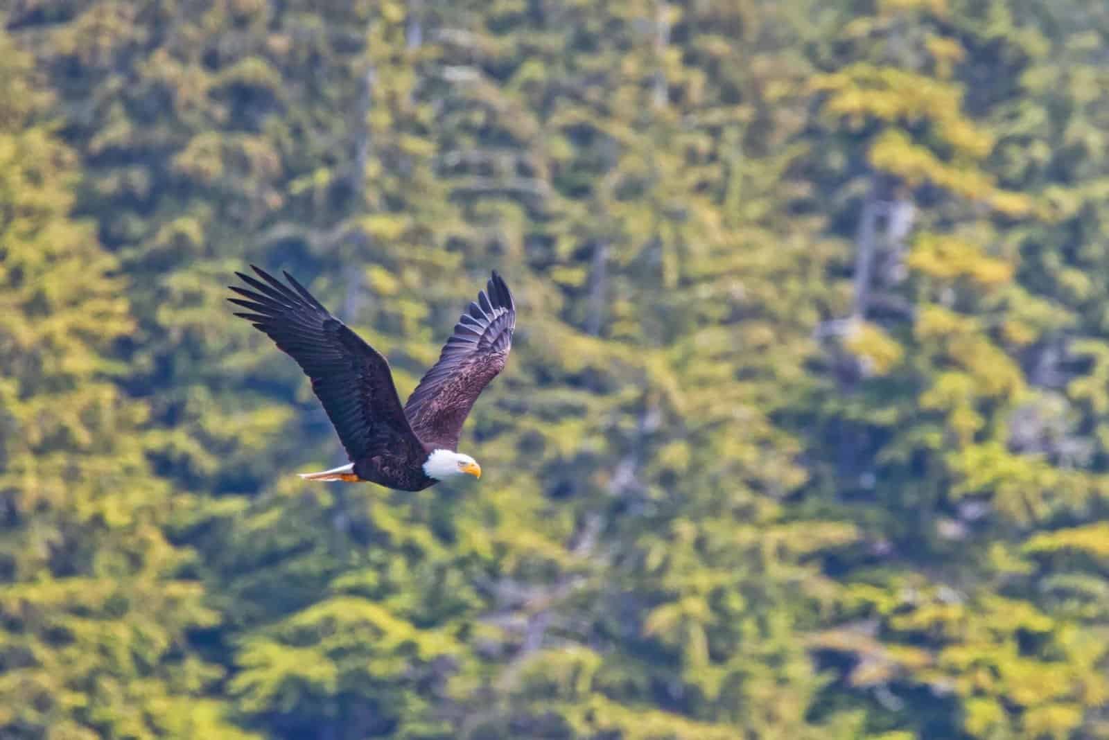 What Exchanges Allow Trading With The Lowest Spreads? What Exchanges Allow Trading With The Lowest Spreads?