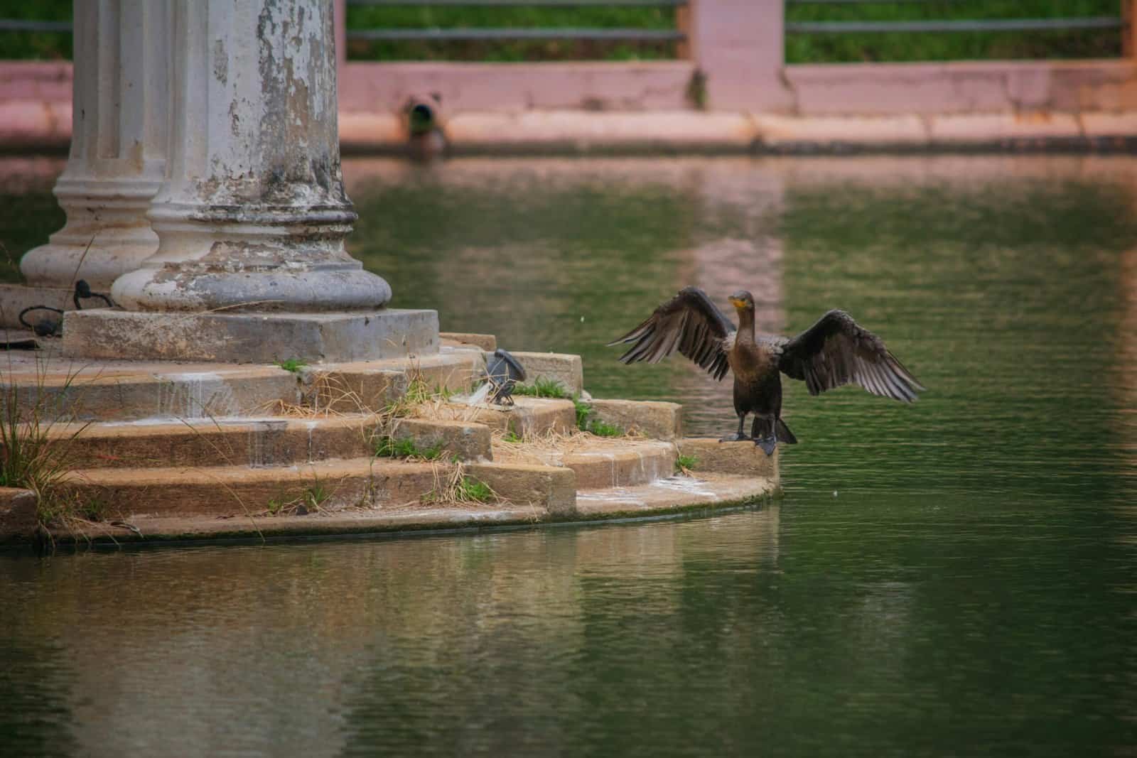 What Exchanges Allow Trading With The Lowest Spreads? What Exchanges Allow Trading With The Lowest Spreads?