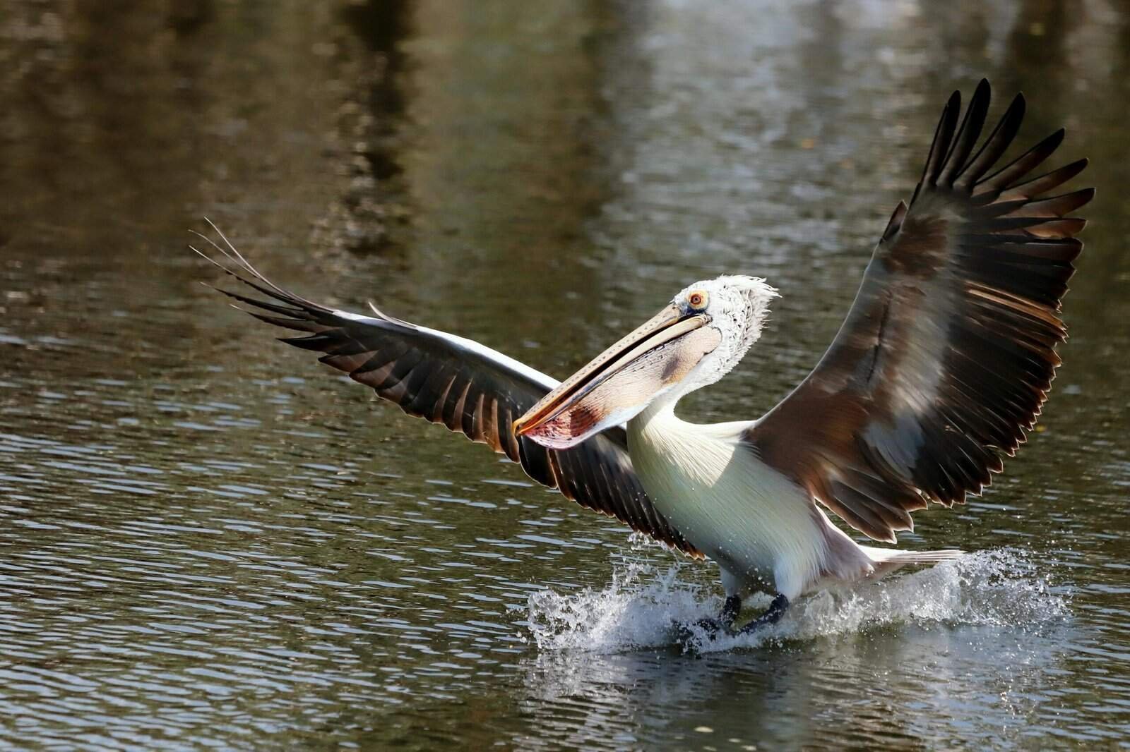 What Exchanges Allow Trading With The Lowest Spreads? What Exchanges Allow Trading With The Lowest Spreads?