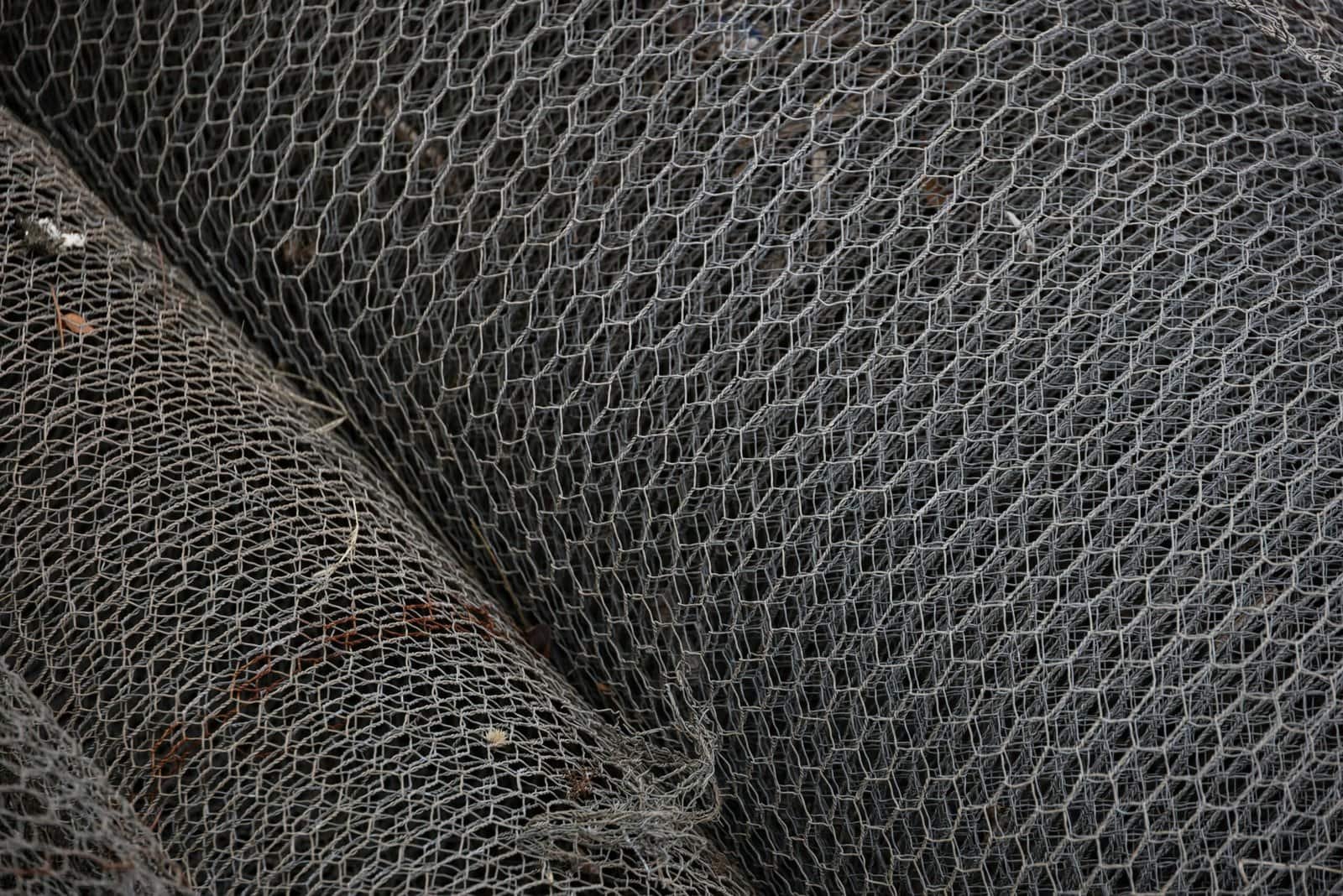 What New Crypto Wallets Are Trending For Security In 2025?