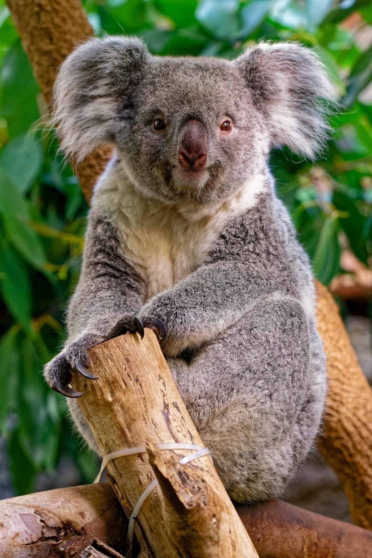 Which Exchanges Offer Proof-of-reserves This Year?