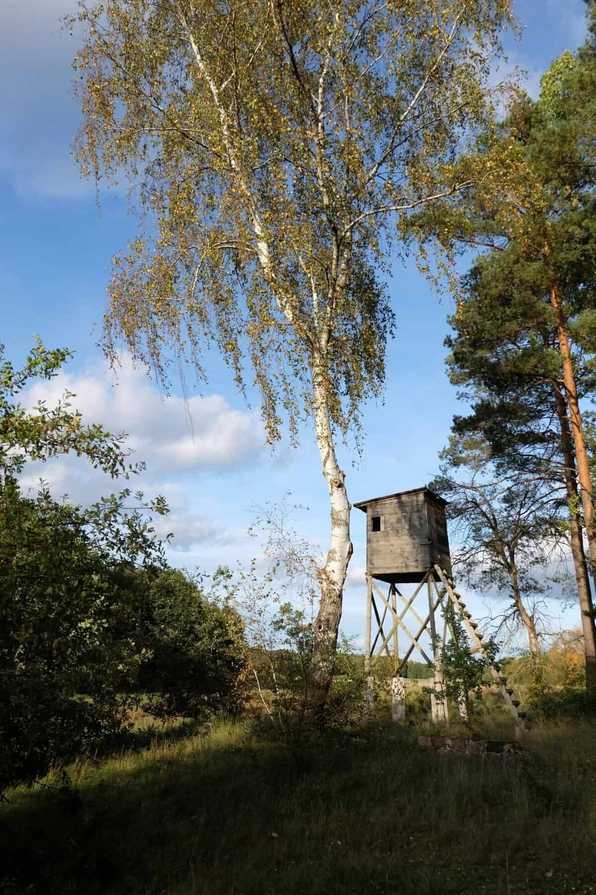 Which Exchanges Offer Proof-of-reserves This Year? Which Exchanges Offer Proof-of-reserves This Year?