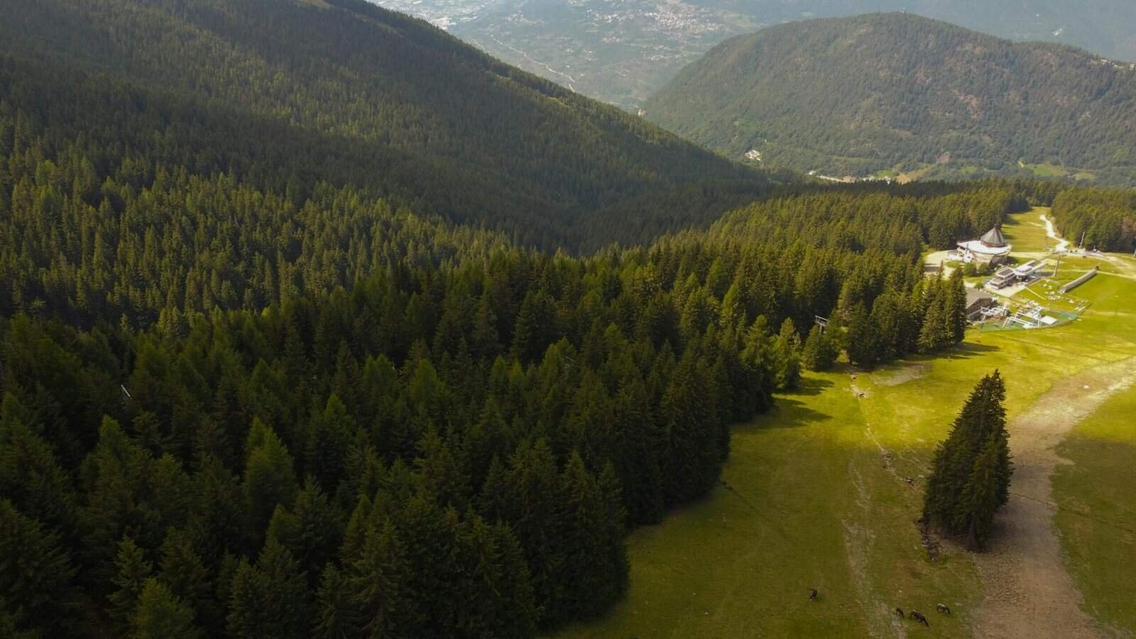 Which Exchanges Offer Proof-of-reserves This Year? Which Exchanges Offer Proof-of-reserves This Year?