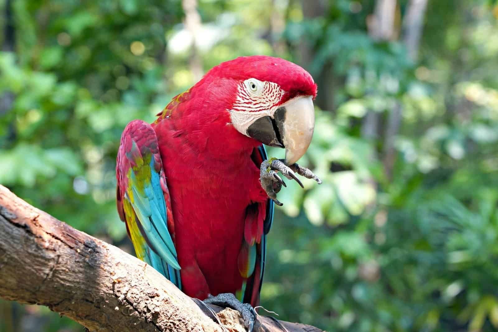 Which Exchanges Offer Proof-of-reserves This Year?