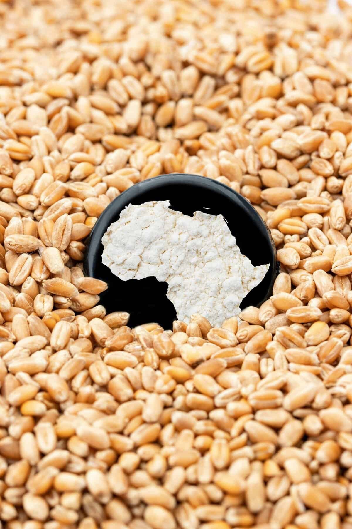 Which Exchanges Offer Yield Farming Options?