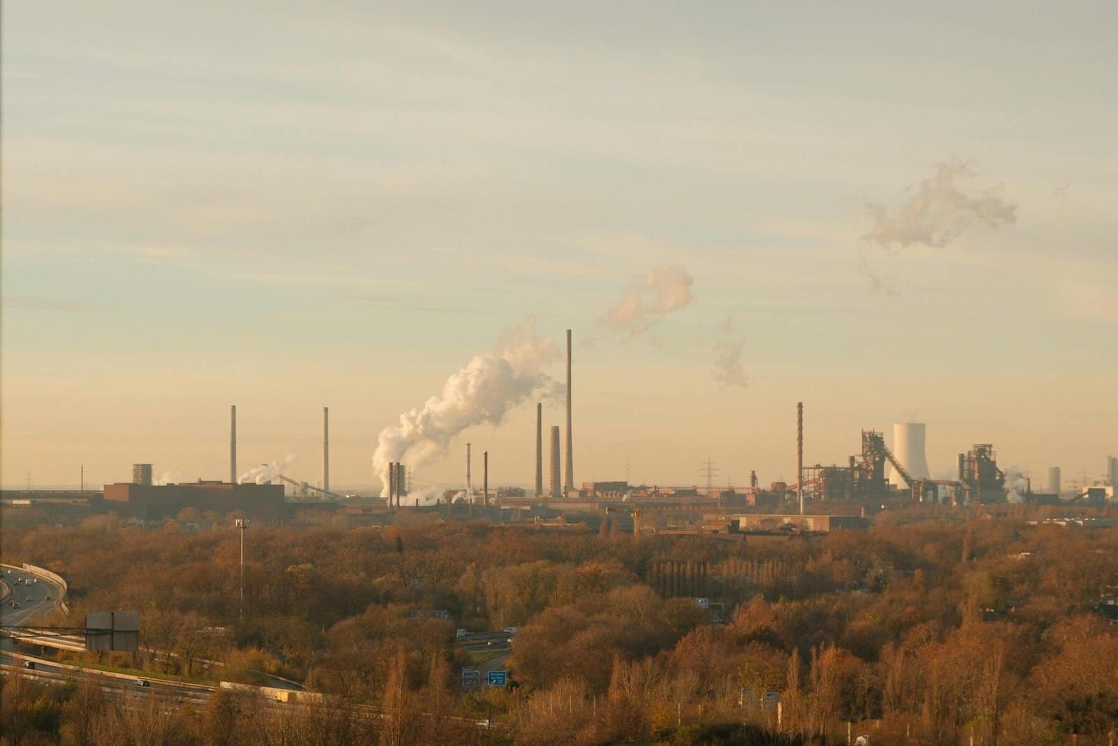 Blockchain Technology: Beyond the Basics with Cointelegraph