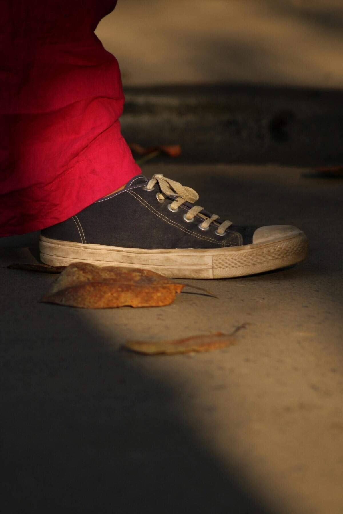 Crypto Trends: Exploring Market Releases and Developments on Cointelegraph