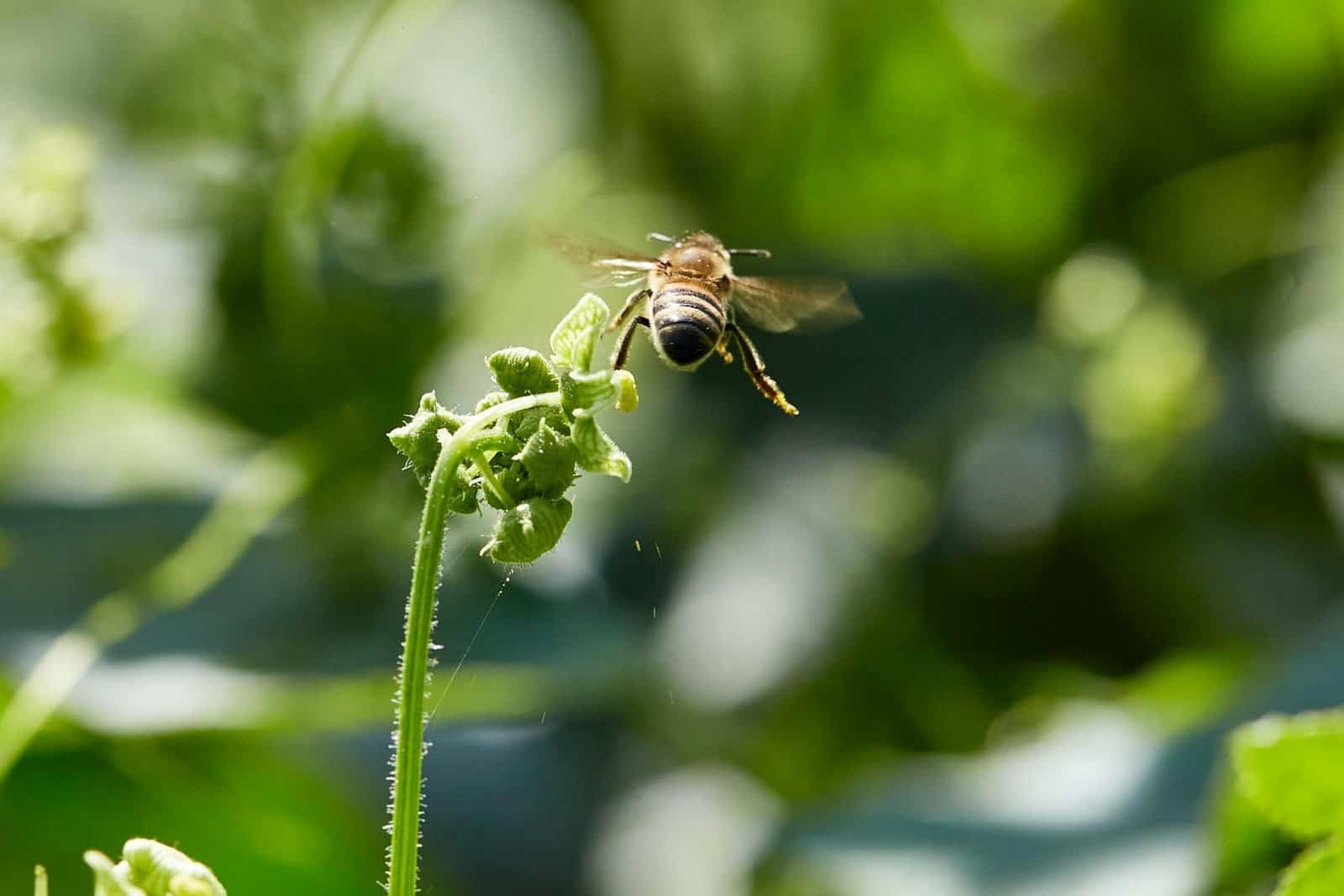 Which Exchanges Are Best For API Trading In 2025? Which Exchanges Are Best For API Trading In 2025?