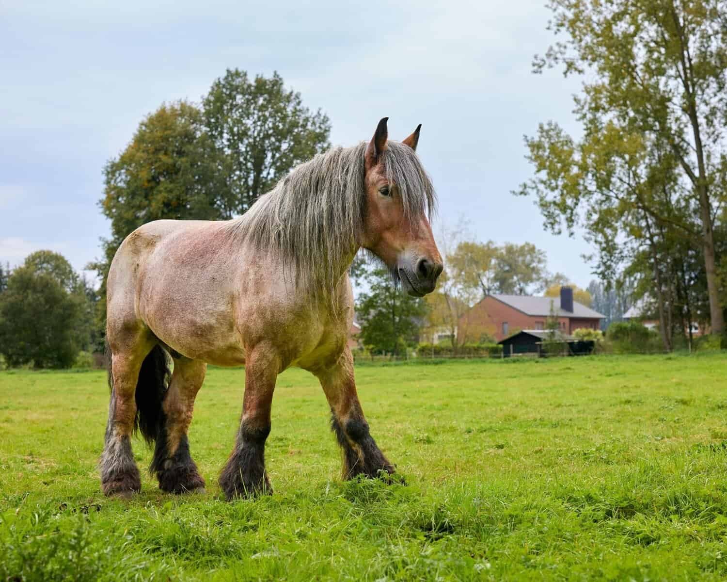 Which Exchanges Offer Yield Farming Options?