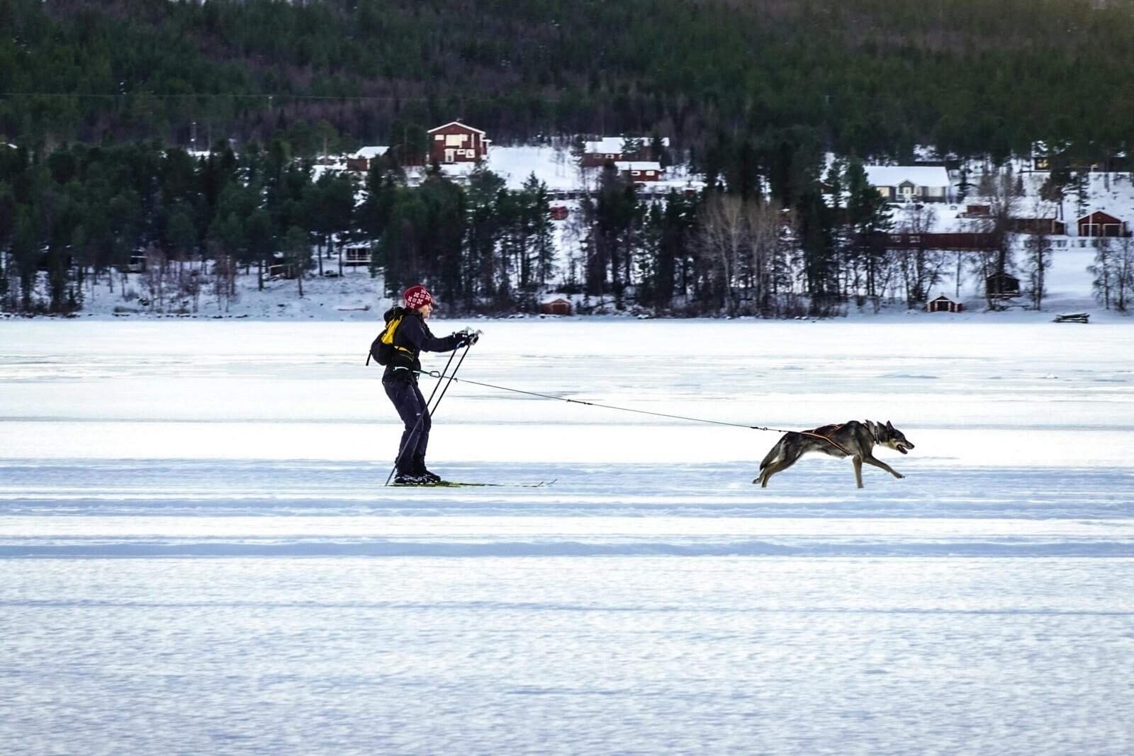 Bitcoin Sidechain Liquid Comes Back To Life Amid Ordinals Frenzy cryptonews.com 1 h